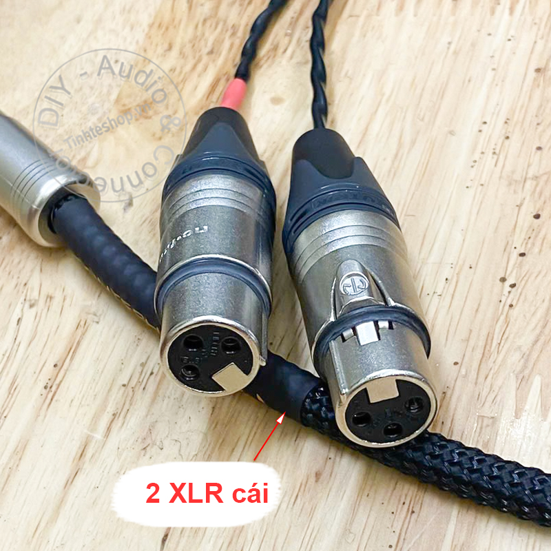 Dây XLR cái sang DIN 5p