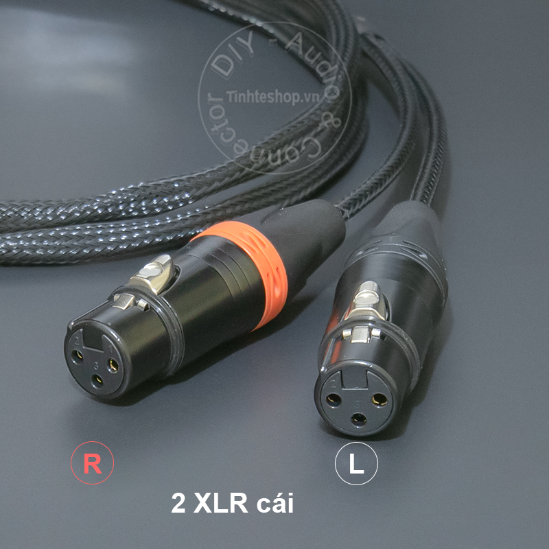2 XLR female to balanced 4.4mm male cable