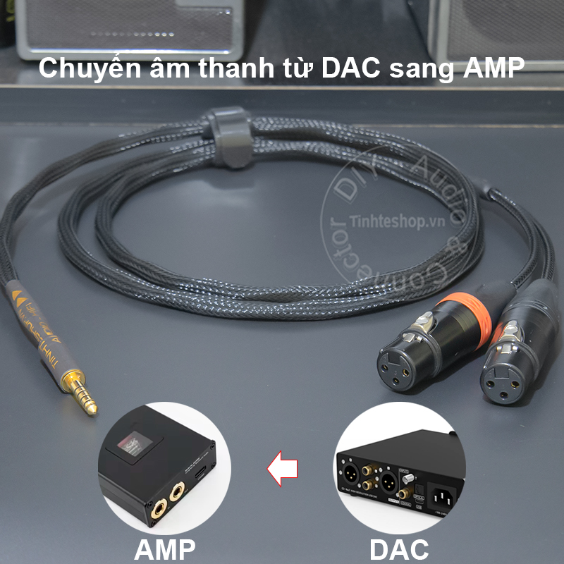2 XLR female to balanced 4.4mm male cable