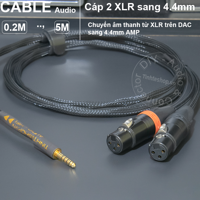 2 XLR female to balanced 4.4mm male cable