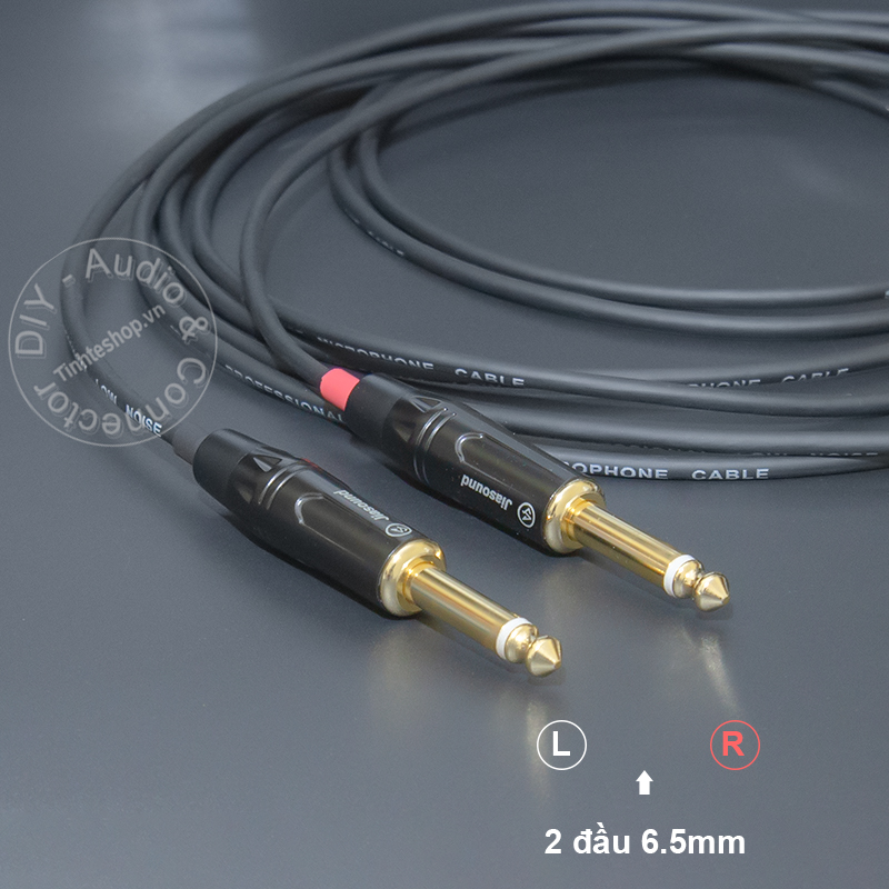 1/8 to 1/4 audio cable divided into 2 guides for monitor speakers