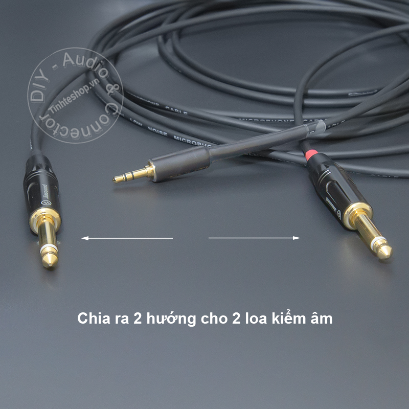 1/8 to 1/4 audio cable divided into 2 guides for monitor speakers