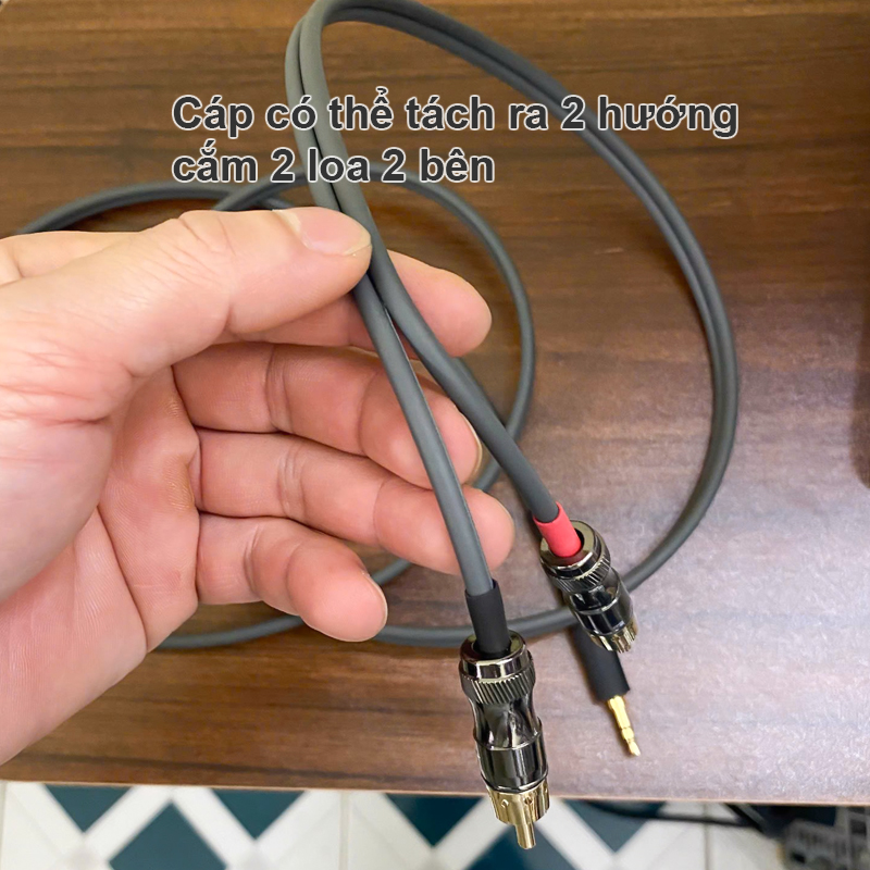 Cáp AUX 3.5mm ra 2 đầu hoa sen Monster Interlink Junior