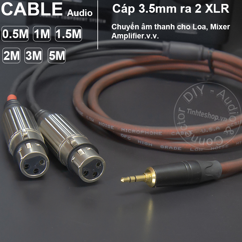 3.5mm to 2 XLR female cable