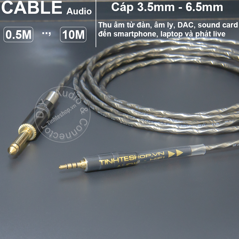 audio capture cable from Audio Tuner to Smartphone Laptop