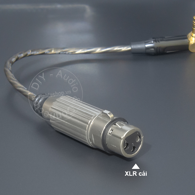 3.5mm mono to XLR female cable for micro