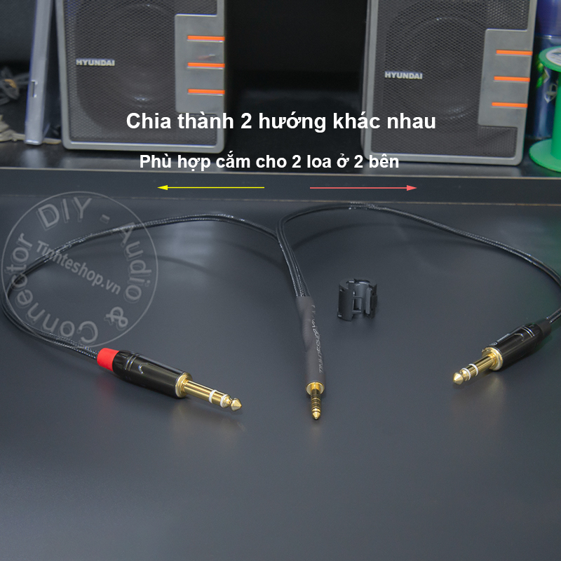 4.4mm to 2 6.35mm TRS balanced audio cable