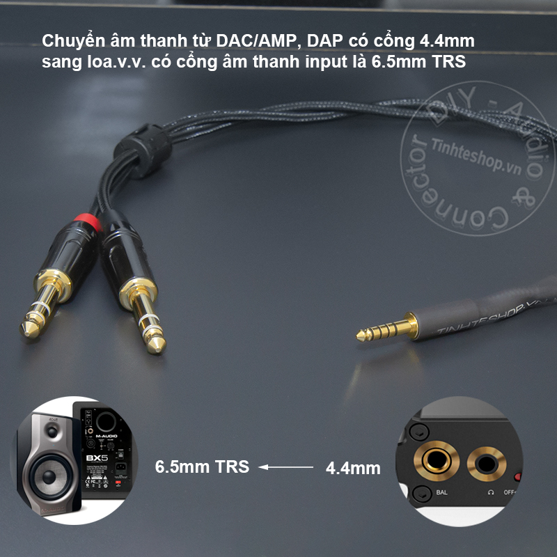 4.4mm to 2 6.35mm TRS balanced audio cable