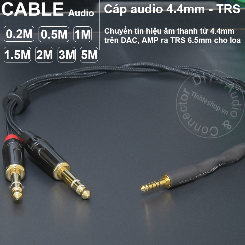 4.4mm to 2 6.35mm TRS balanced audio cable