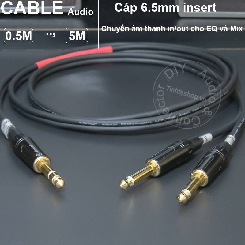 Audio cable in and out inserts music for the equalizer