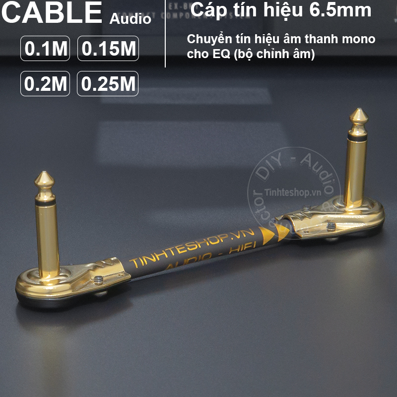 Brief 1/4 TS audio cable for guitar tuner