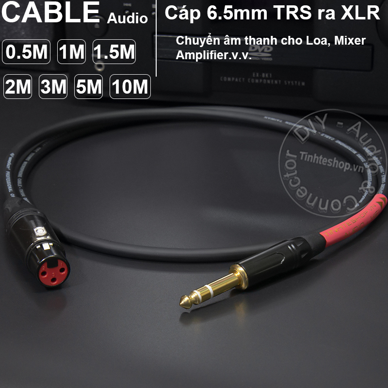 Female TRS 1/4 to XLR audio cable