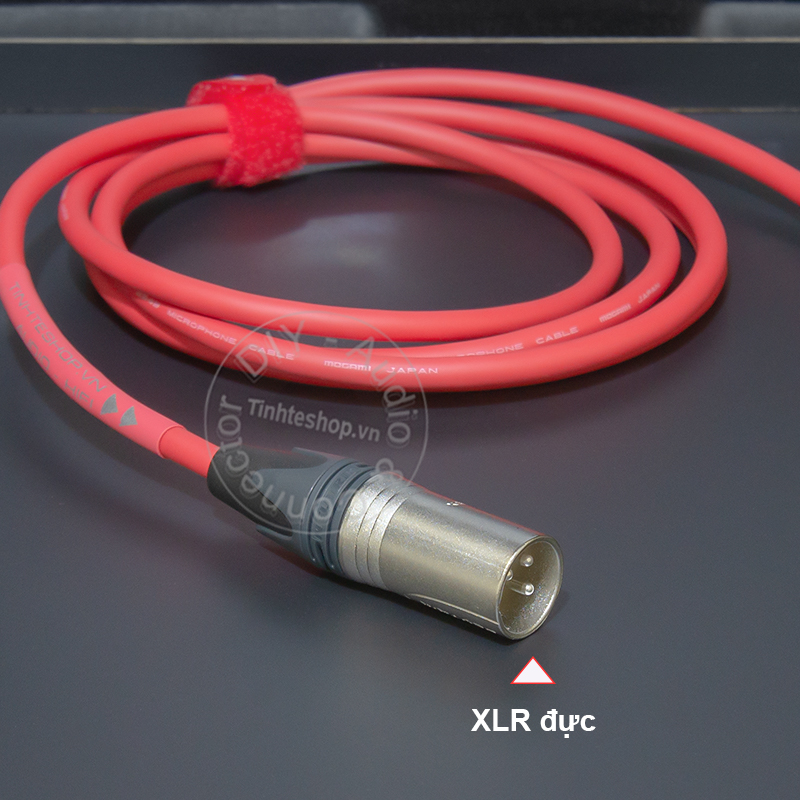 Mogami 6.35mm stereo to balanced XLR male audio cable