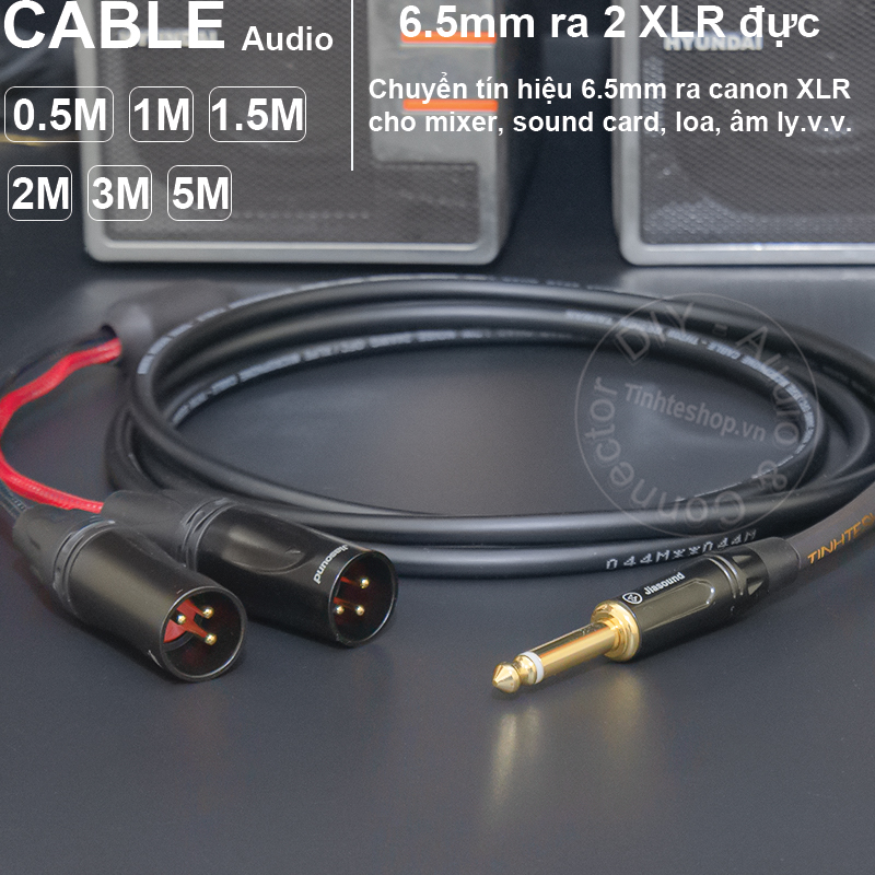  6.5mm mono to 2 XLR male audio cable