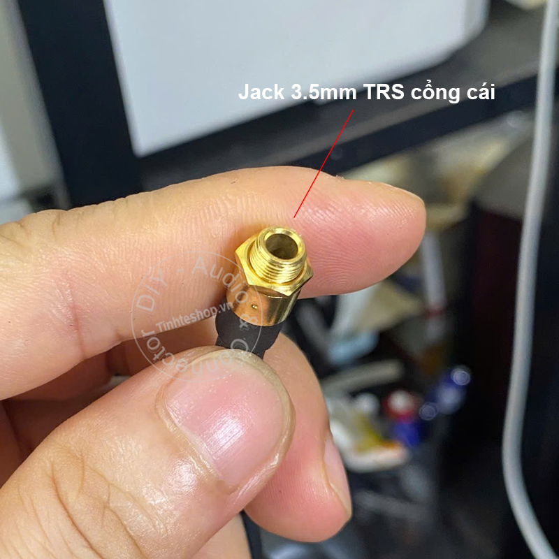3.5mm stereo extension cable screws into the case