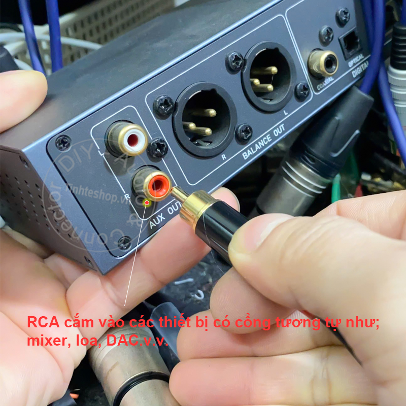 RCA male to 6.5mm female adapter