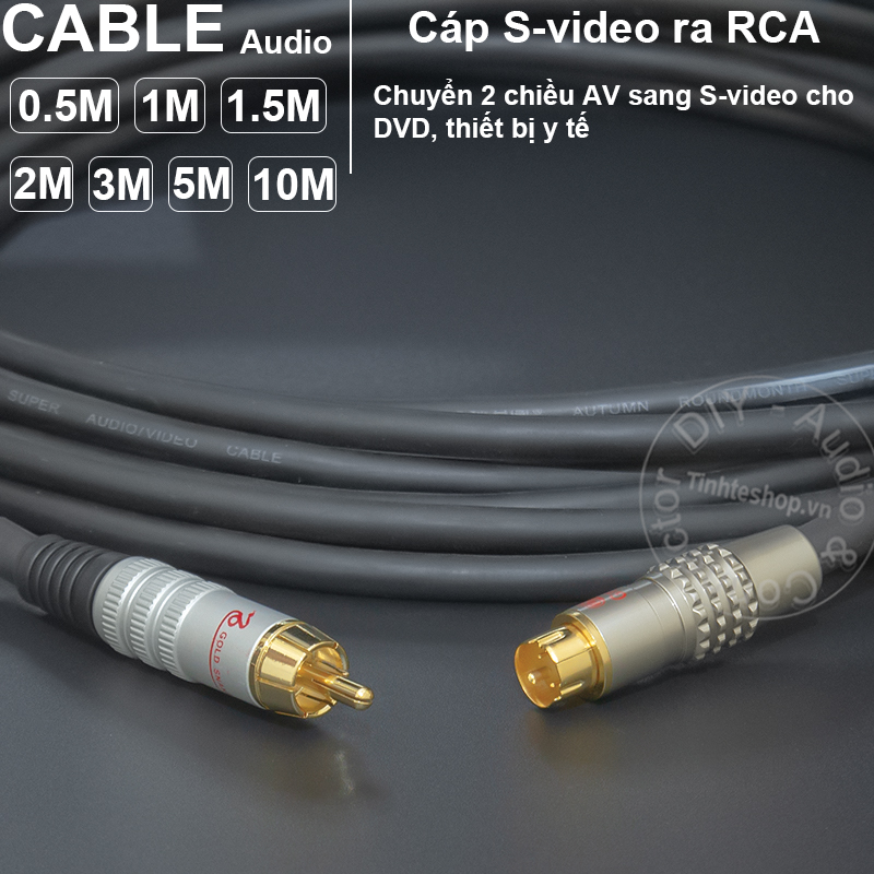 S-video to RCA cable