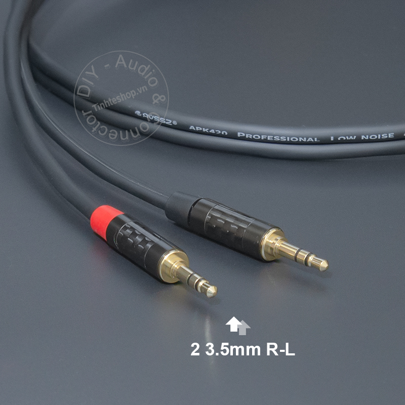 RCA to 1/8 audio cable for 2 left and right speakers