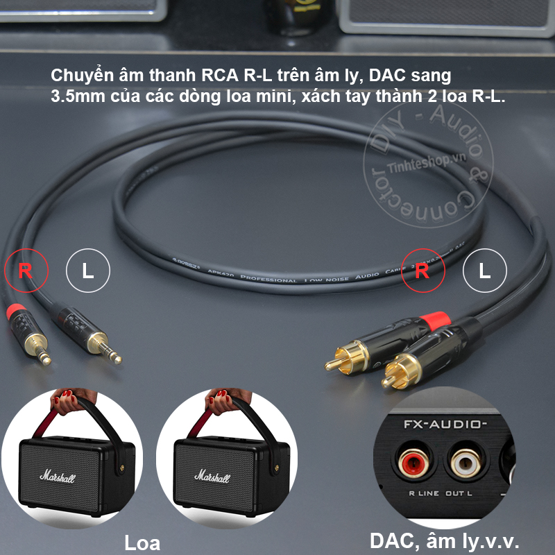 RCA to 1/8 audio cable for 2 left and right speakers