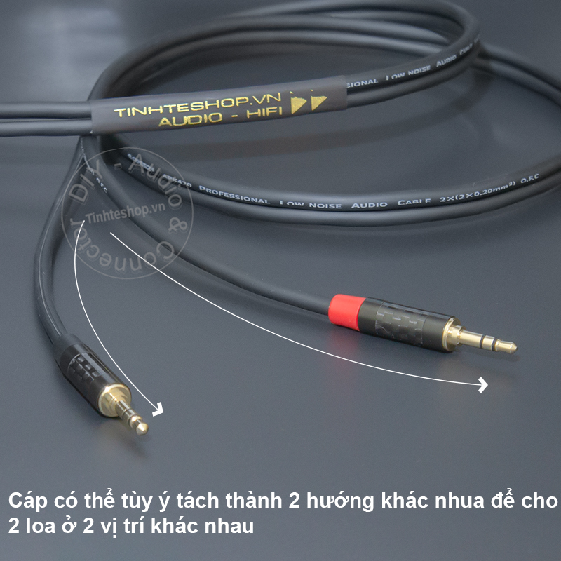 RCA to 1/8 audio cable for 2 left and right speakers