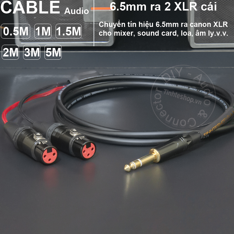 6.5mm TRS audio cable to 2 female canons