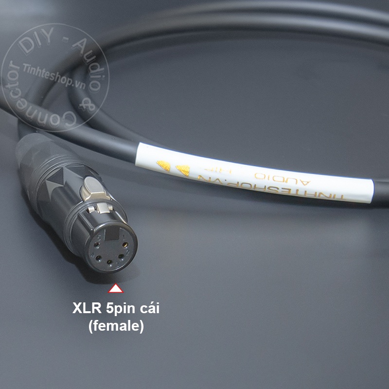 5-pole male to female XLR cable