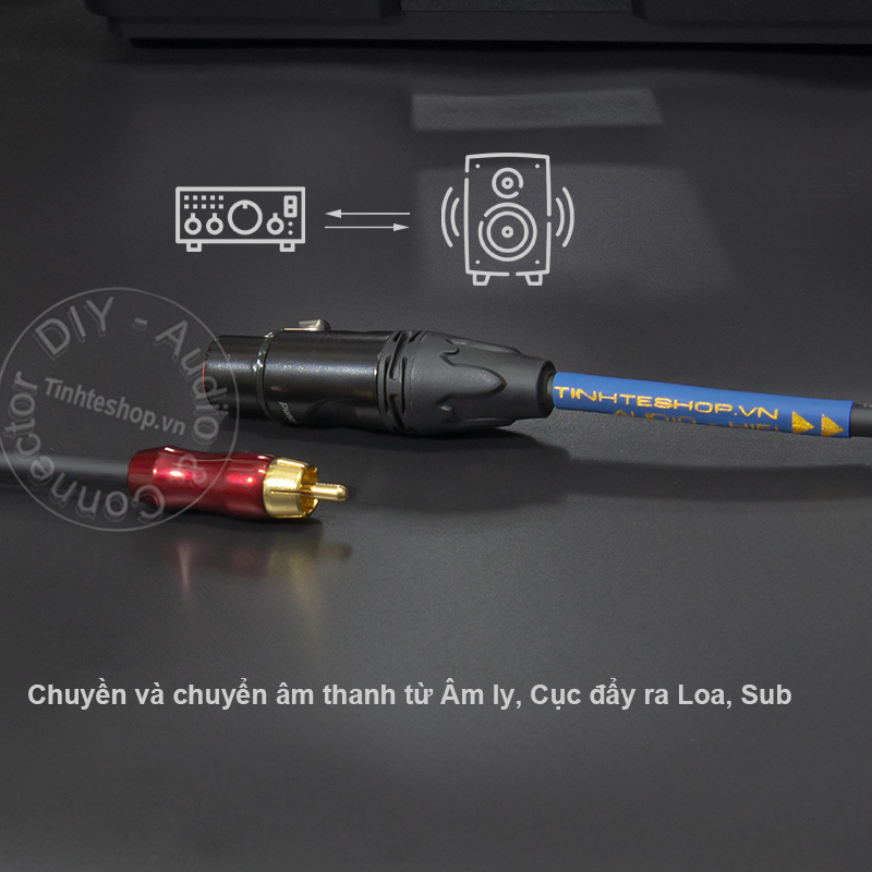 XLR to RCA