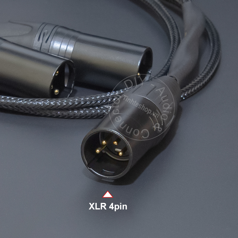 XLR 3p male to 2 XLR male cable