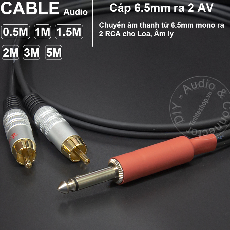 6.5mm mono to 2 RCA cable