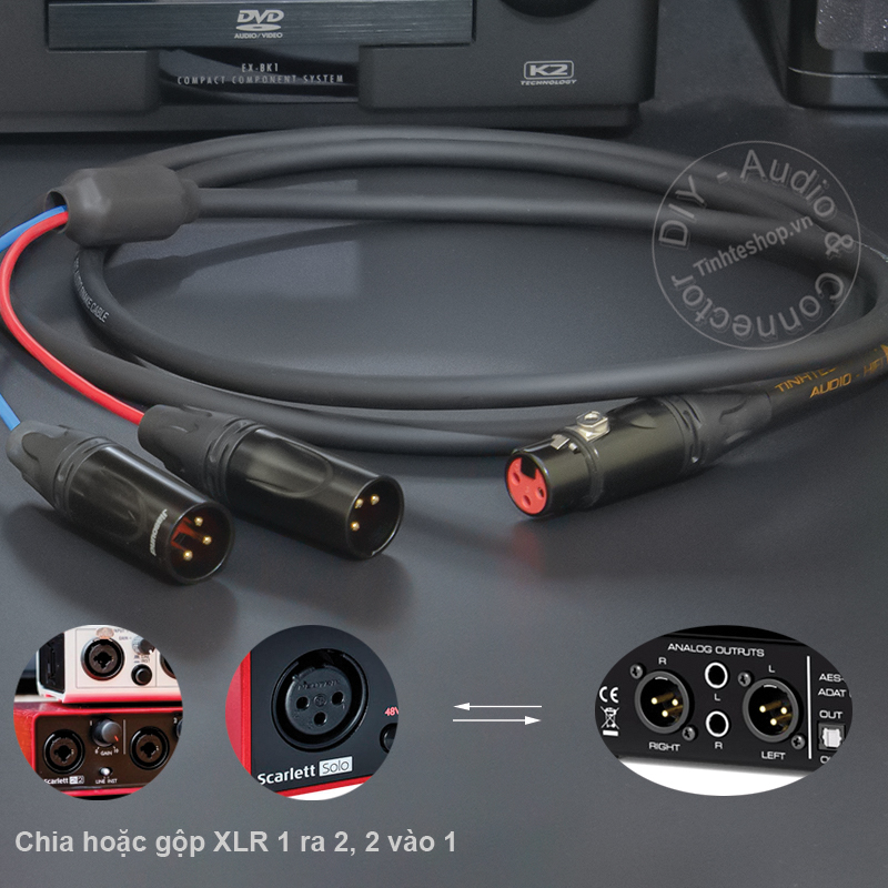 1 female to 2 male XLR splitter cable