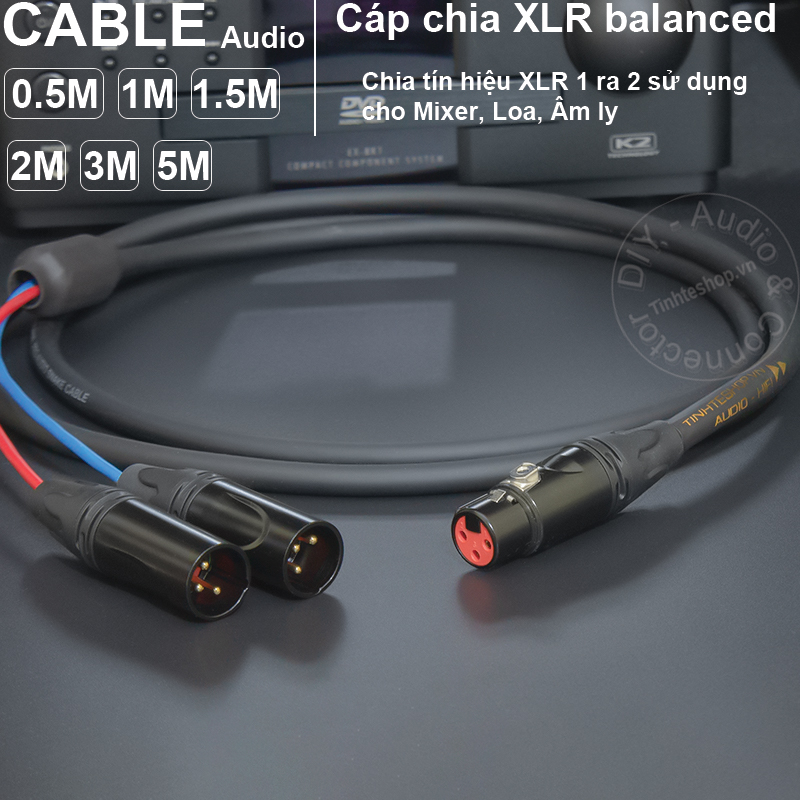 1 female to 2 male XLR splitter cable