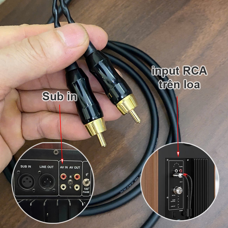 RCA audio splitter cable, 1 input to 2 outputs.