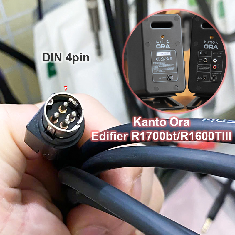 DIN 4 speaker cable