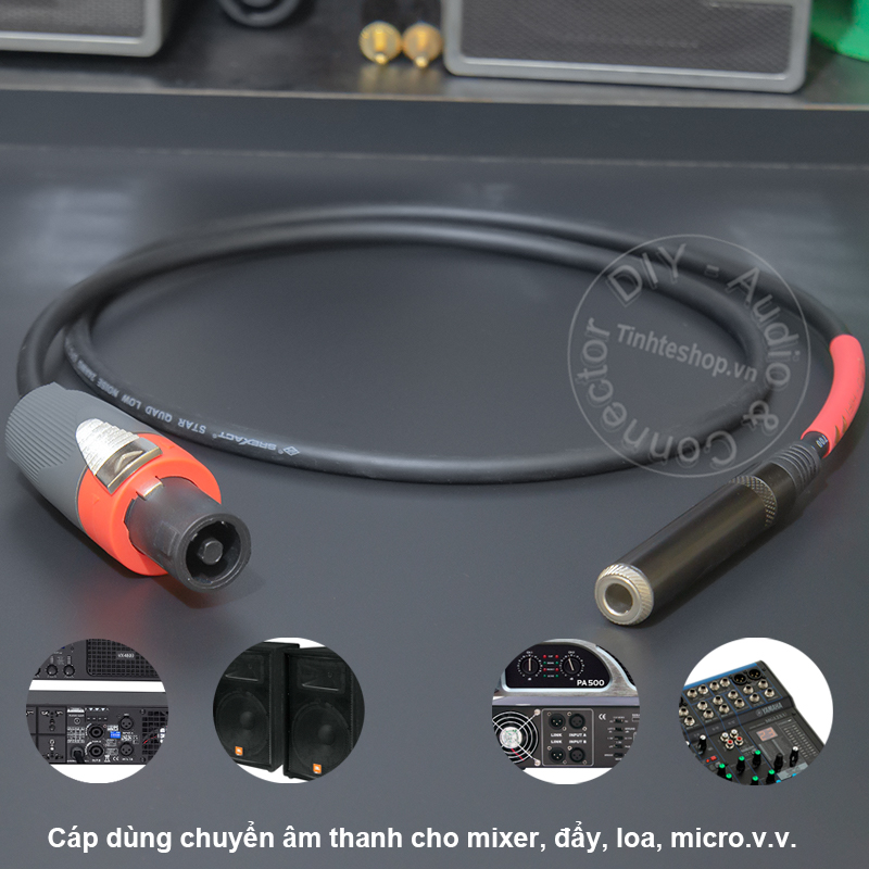 Do-it-yourself female to 6.5mm speakon speaker cable