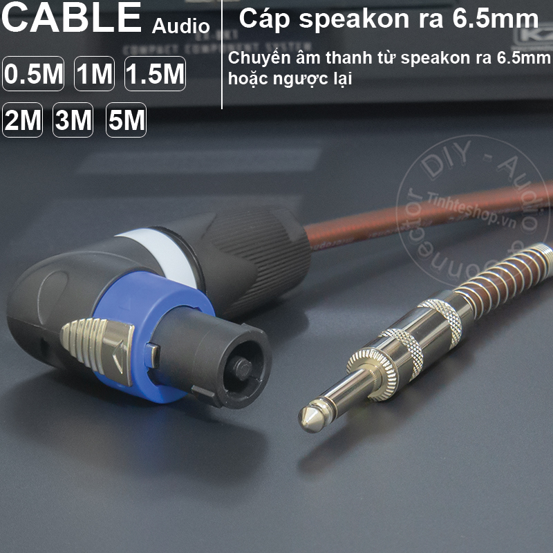 Speakon to 1/4 mono cable