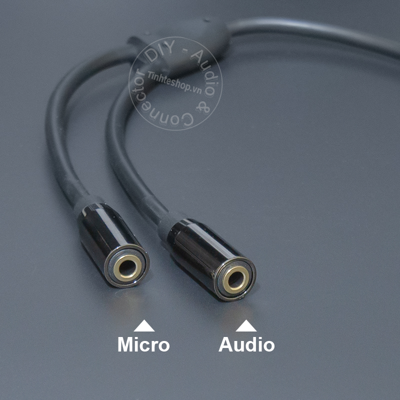USB C sang 3.5 1 bên micro 1 bên audio 20Cm