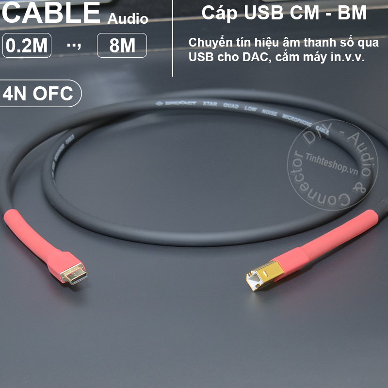 USB CM to BM OTG cable