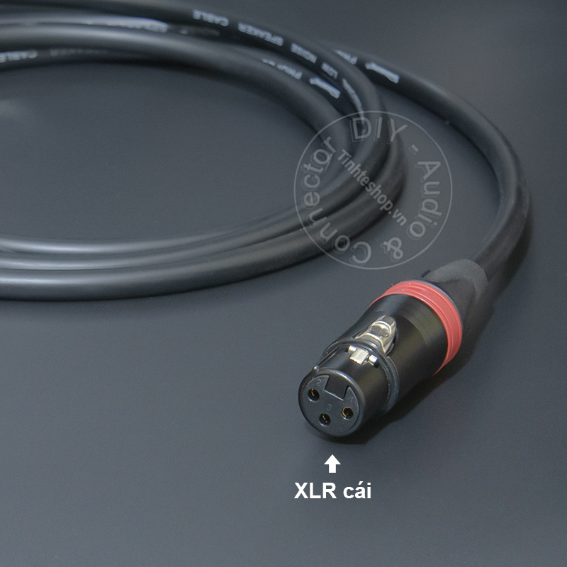 anh cho Đẩy Mixer Loa Âm ly - Audio cable from female XLR to banana cable made by hand