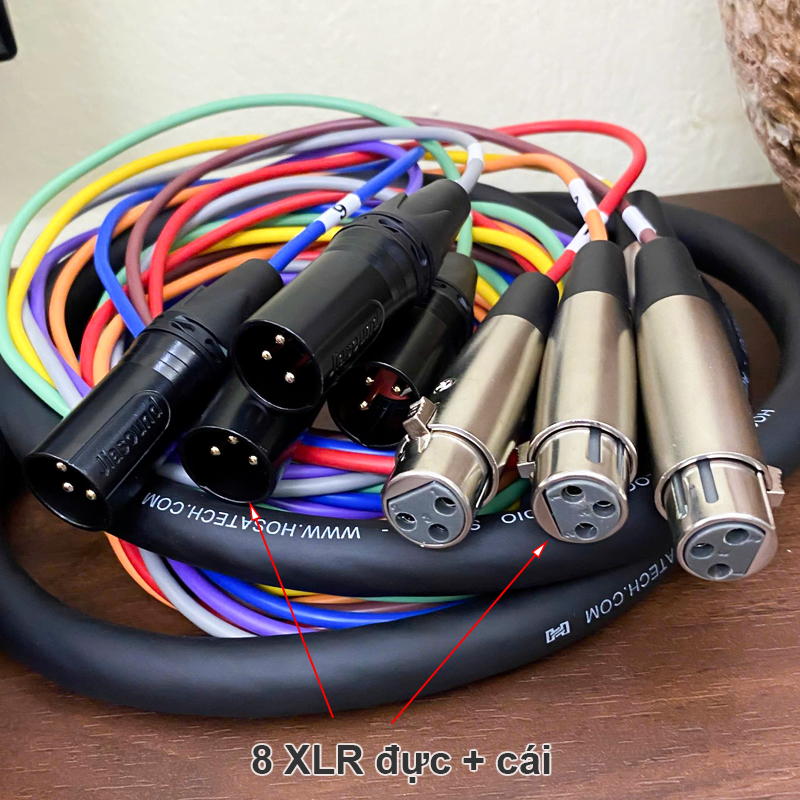 Hosa DTF-803 8-channel DB25 to XLR Female Snake