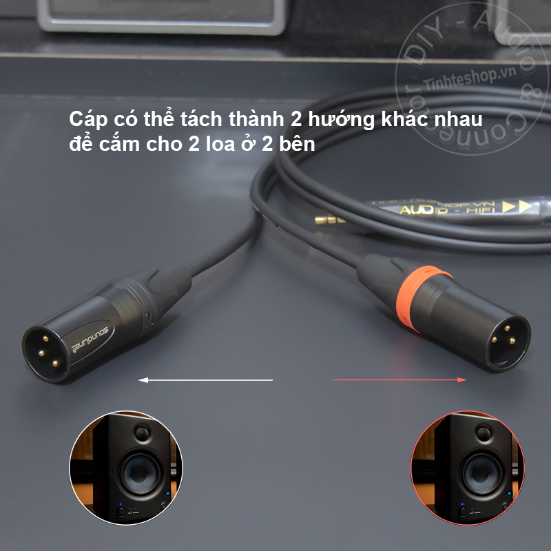 3.5mm to 2 XLR male cable