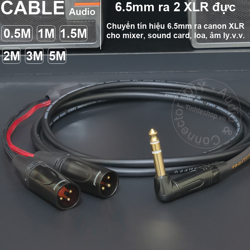 6.35mm to 2 XLR female stereo cable