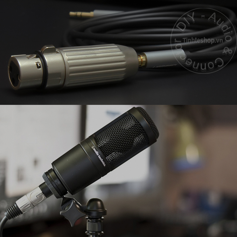 3.5mm to XLR balanced female adapter