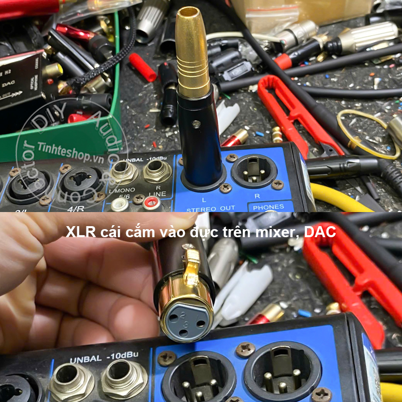 XLR female to 6.5mm female adapter