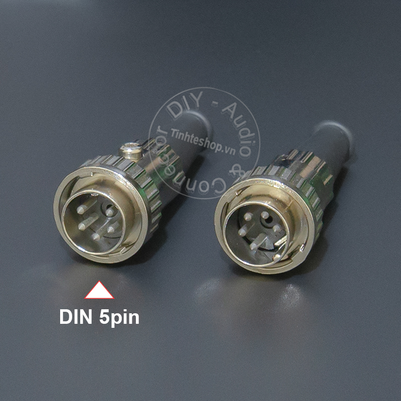 5-pin audio plug for European amplifier