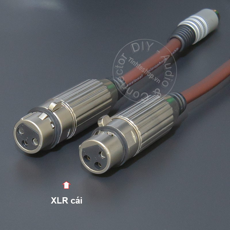 XLR female to RCA female adapter