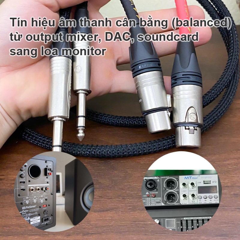 Cáp loa kiểm âm canon cái sang 6.5 ly stereo