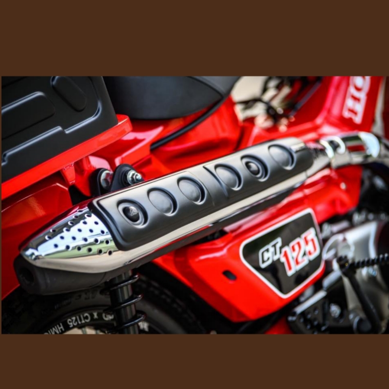ỐP PÔ REVOLUTION CHO CT 125
