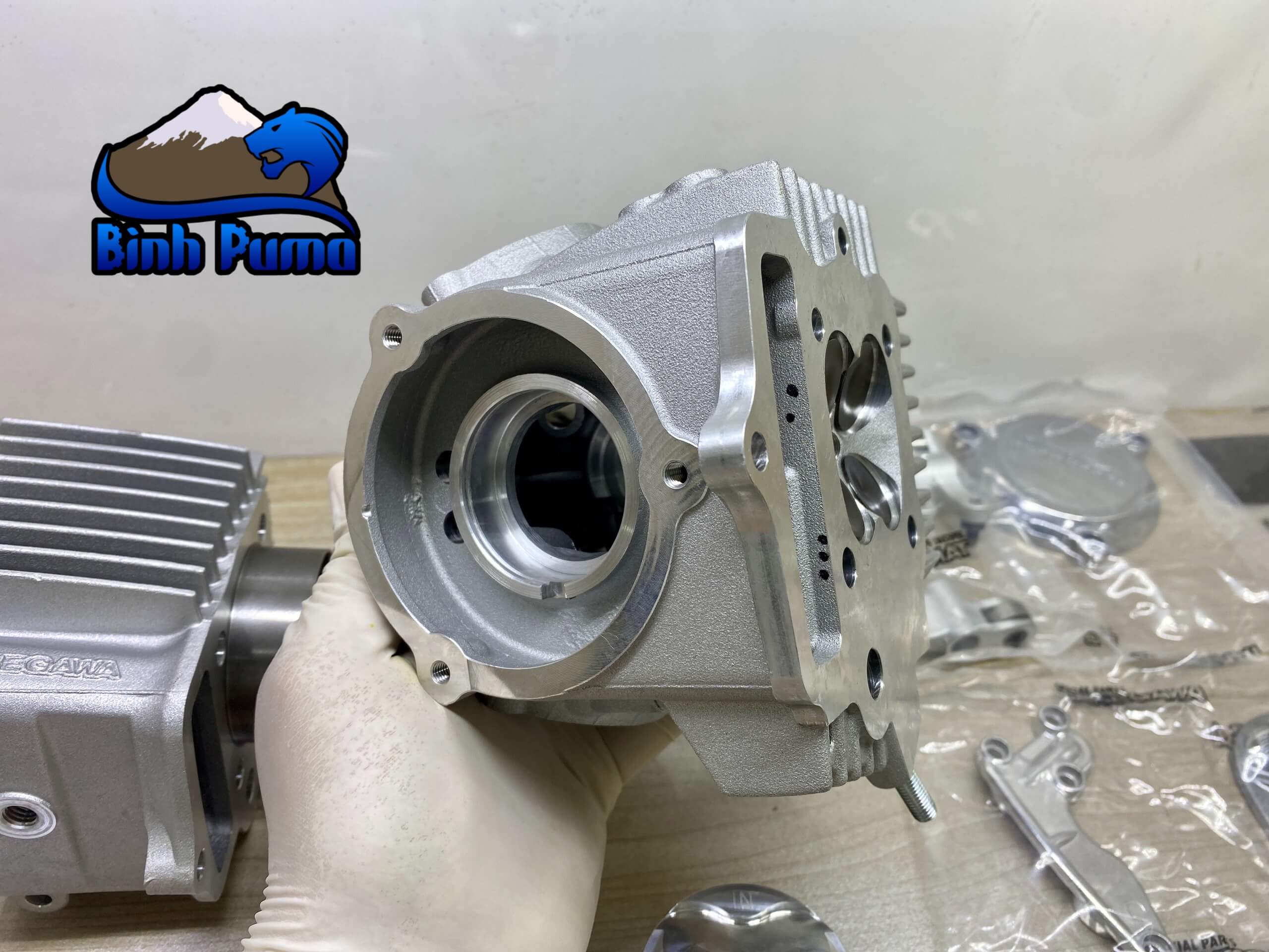 Đầu Lòng Takegawa 4valve Trái 52 Lòng 69 (106cc)
