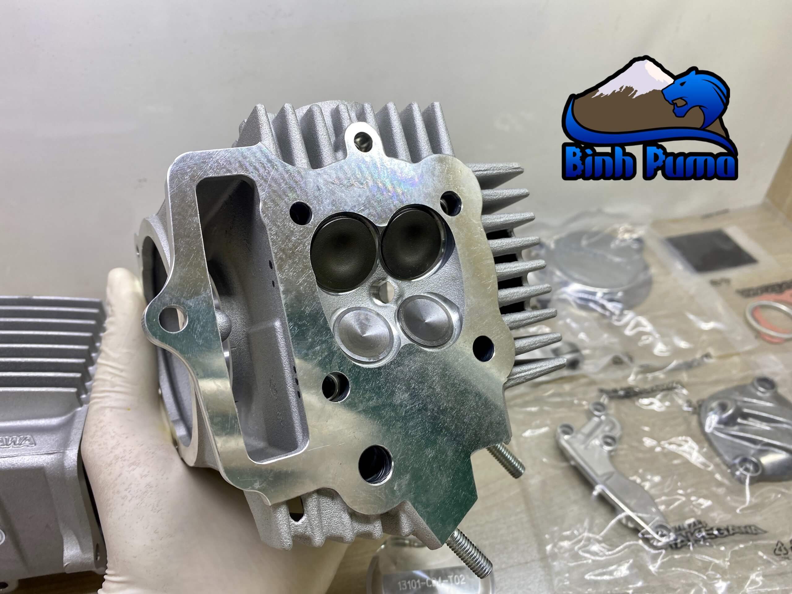 Đầu Lòng Takegawa 4valve Trái 52 Lòng 69 (106cc)