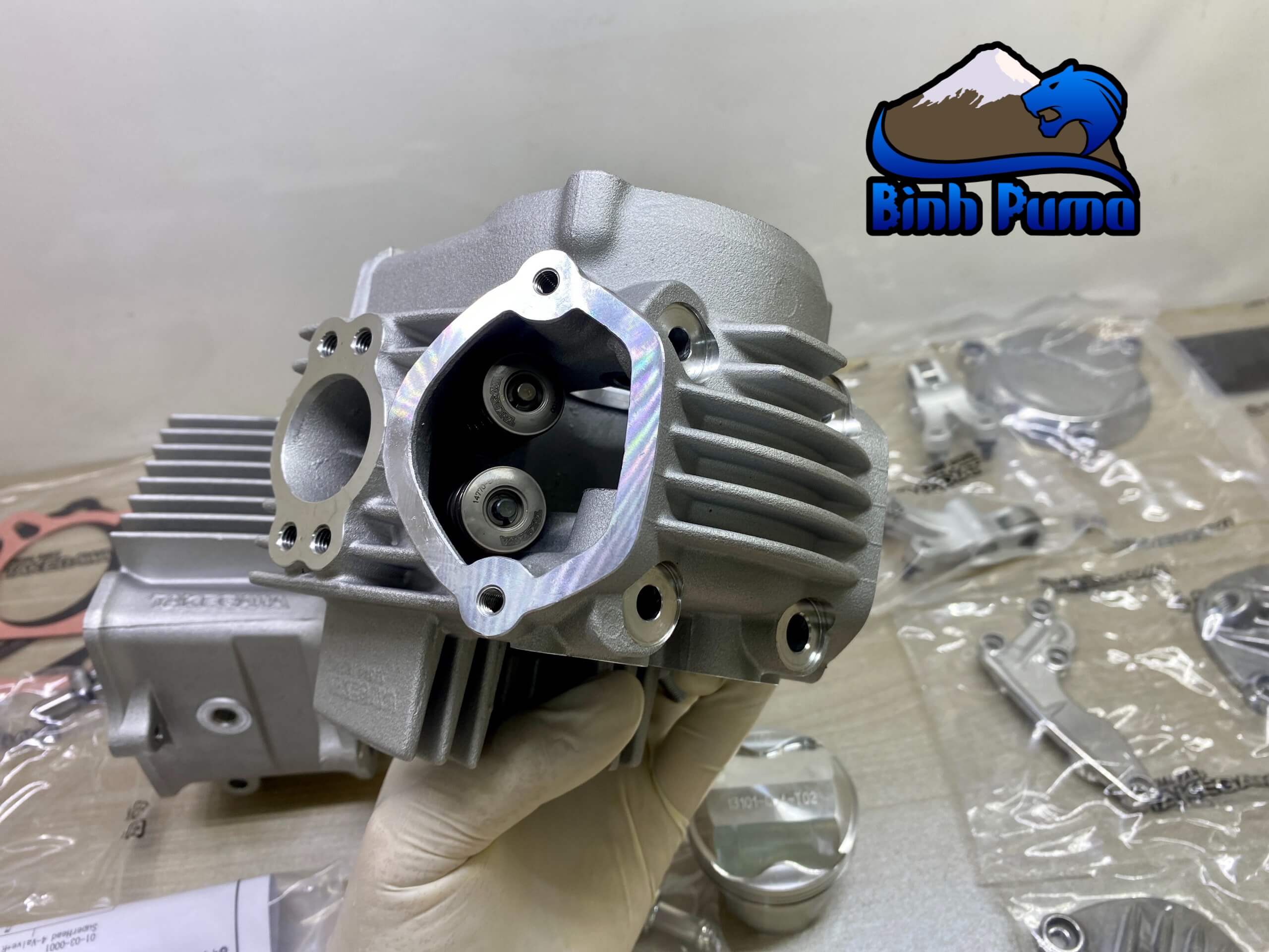 Đầu Lòng Takegawa 4valve Trái 52 Lòng 69 (106cc)
